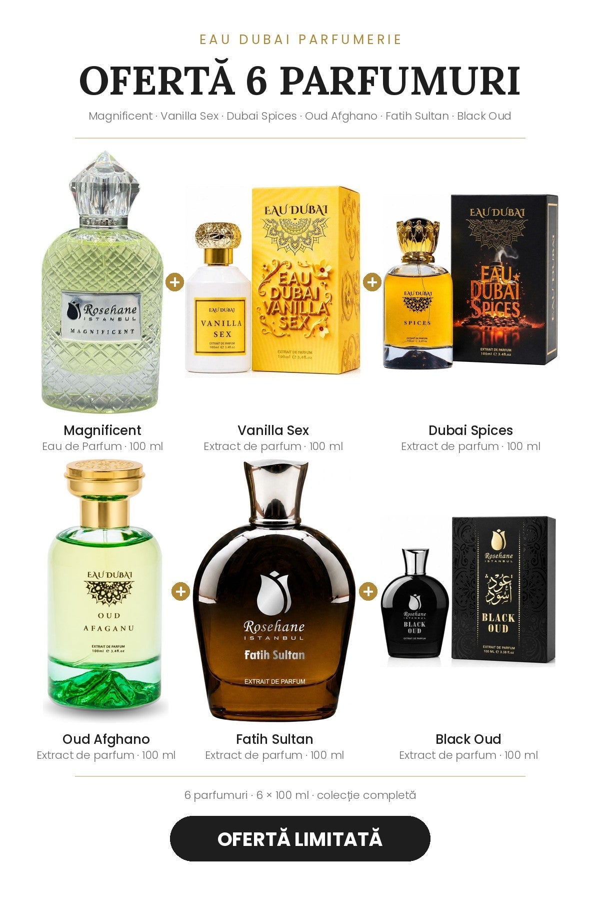 🔥 Oferte seturi parfumuri – lichidare stoc