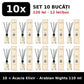 Set 10x Acacia Elixir Arabian Nights