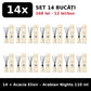 Set 14x Acacia Elixir Arabian Nights