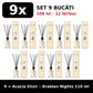 Set 9x Acacia Elixir Arabian Nights
