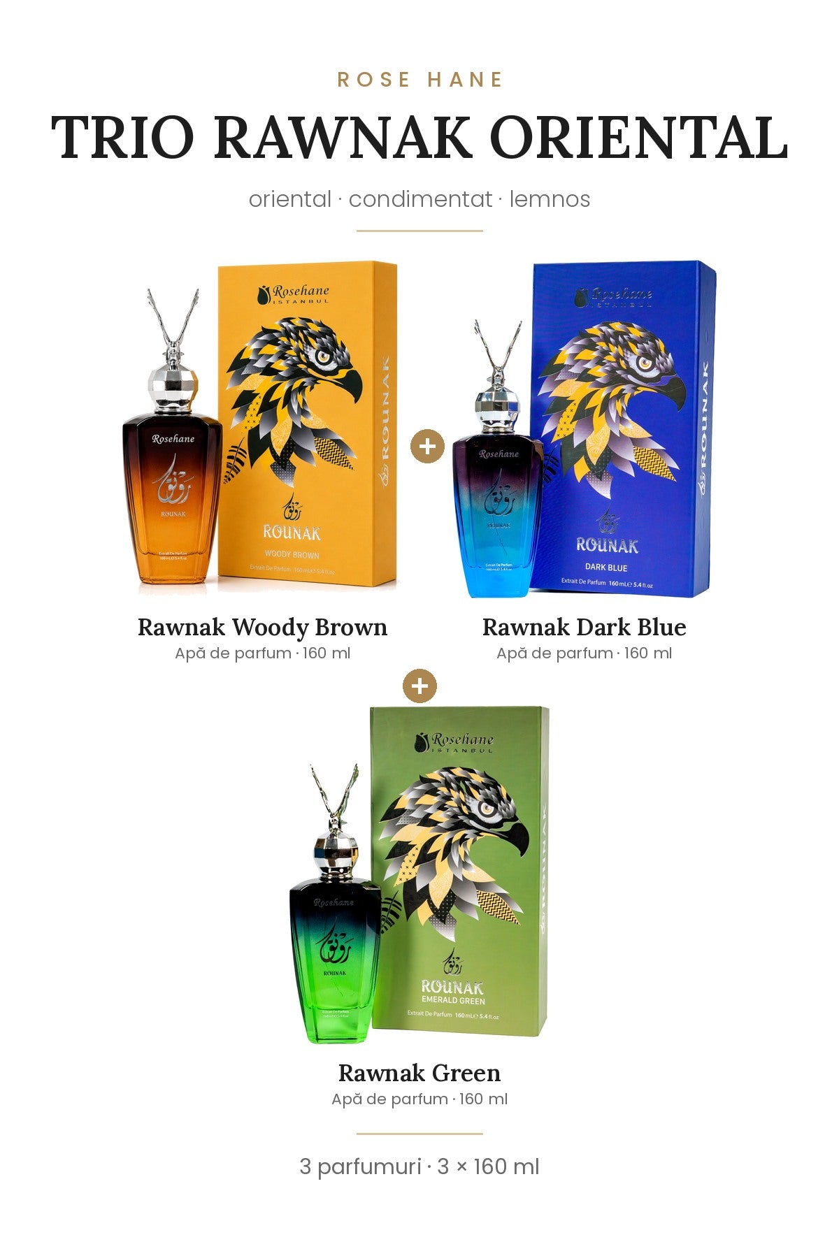 Trio Rawnak Oriental